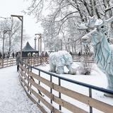 Obrazek: Lodowisko Ice Park Kraków