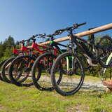 Kilka rowerów zawieszonych za siodełka na drewnianym stojaku